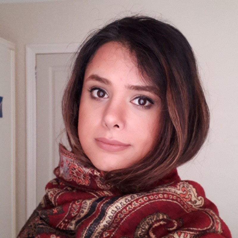 Dr Pardis Biglarbeigi